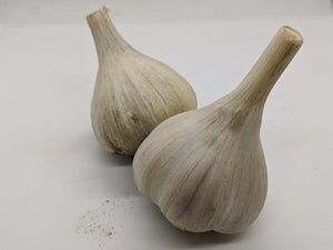 Aomori garlic bulbs- a Japanese type that was the traditional type used for black garlic
