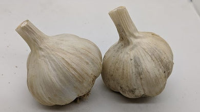 Calabria garlic bulbs, an heirloom Rocambole from Italy