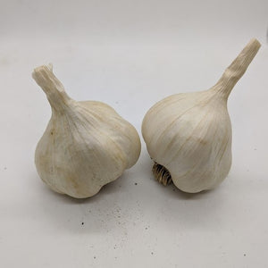 Greek Silverskin garlic bulbs