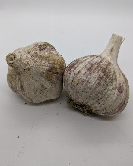 Chengdu garlic bulbs