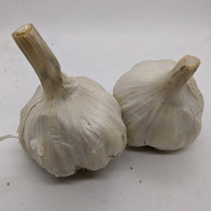 Blanak (also spelled Blanik), a unique garlic variety sometimes sold as a Glazed Purple Stripe, though I believe it may be its own unique subtype underneath the Marbled family.
