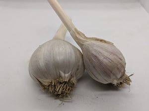 Gadym Sarimsak garlic bulbs