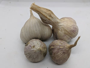 Cusco garlic bulbs and rounds